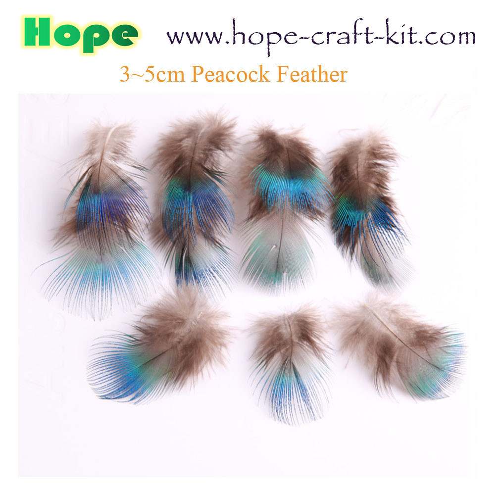 5~20mm ostrich feathers, goose feathers, turkey feathers, chicken feathers, peacock , for hobbies and kids DIY