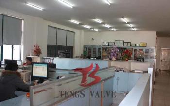 Tengs Valve International Limited