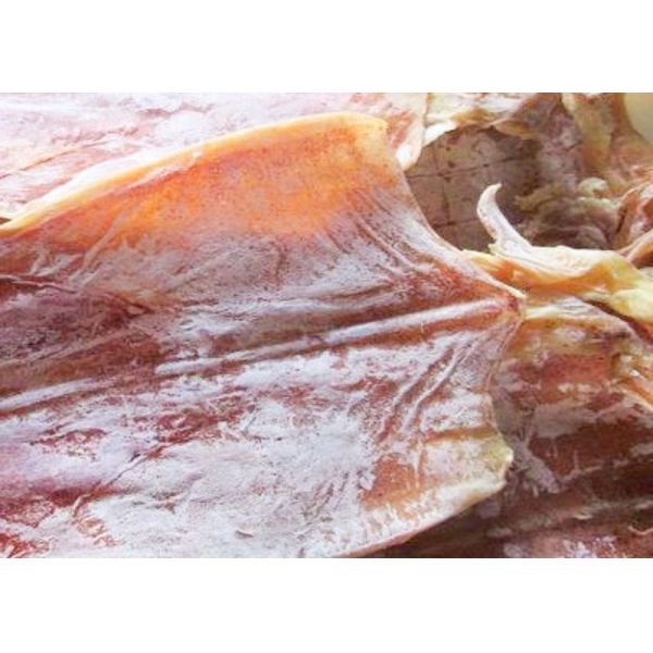 Delicious Healthy Squid Todarodes Pacificus