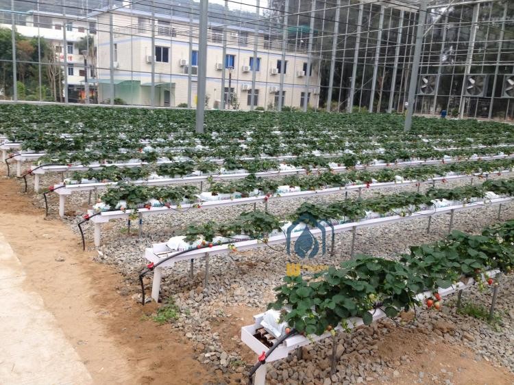 Greenhouse Substrate Gutter Growing System Hydroponic Plastic Tomato Growing Trough