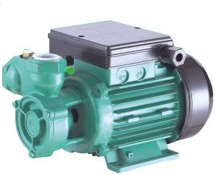 DB-550 vortex water pump