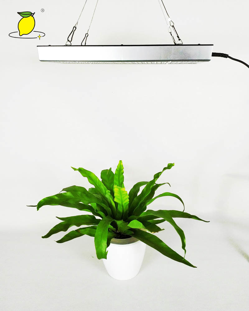 Waterproof 625nm 265V Plant Growth Light