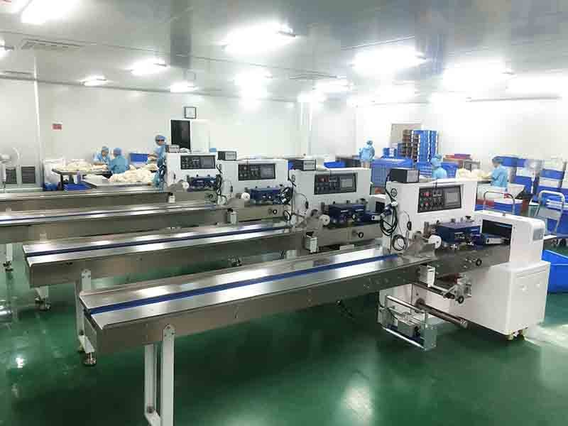 Stainless Steel 50Hz 0.6MPa Glove Cartoning Machine 30pcs/Min