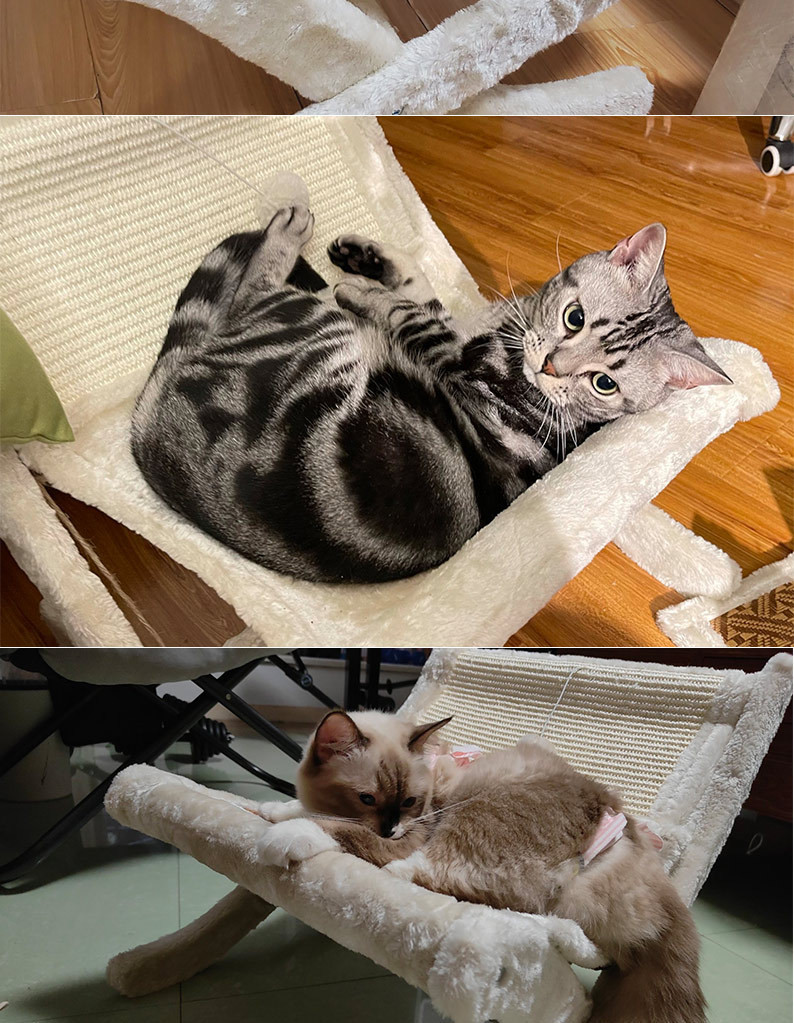Pet Cat Sofa Bed Sunbathing Chair Sleeping Recliner Cat Scratching Board Cat Scratching Board