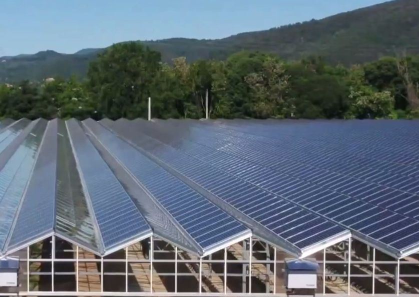 PE/Po Plastic Film Photovoltaic Greenhouse System