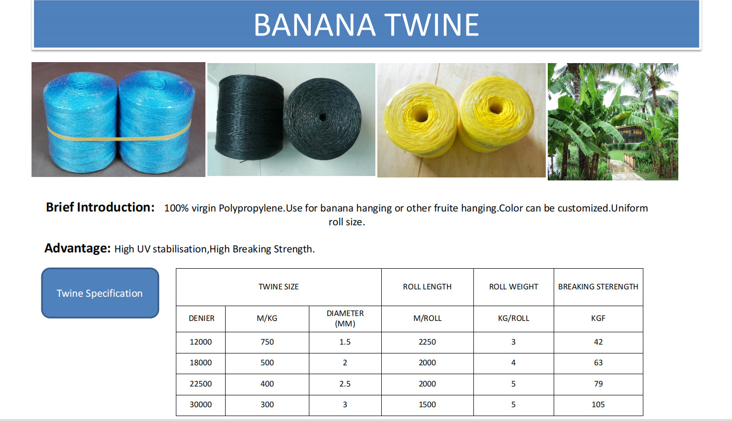 Greenhouse Tomato Banana Twine , PP Multi Span Agricultural Twine