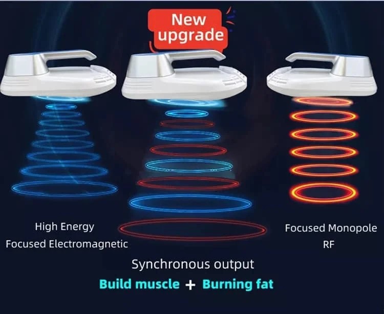 2 Handles Home Use Ems Sclupt Weight Loss Hi Emt Neo Muscle Stimulate Machine