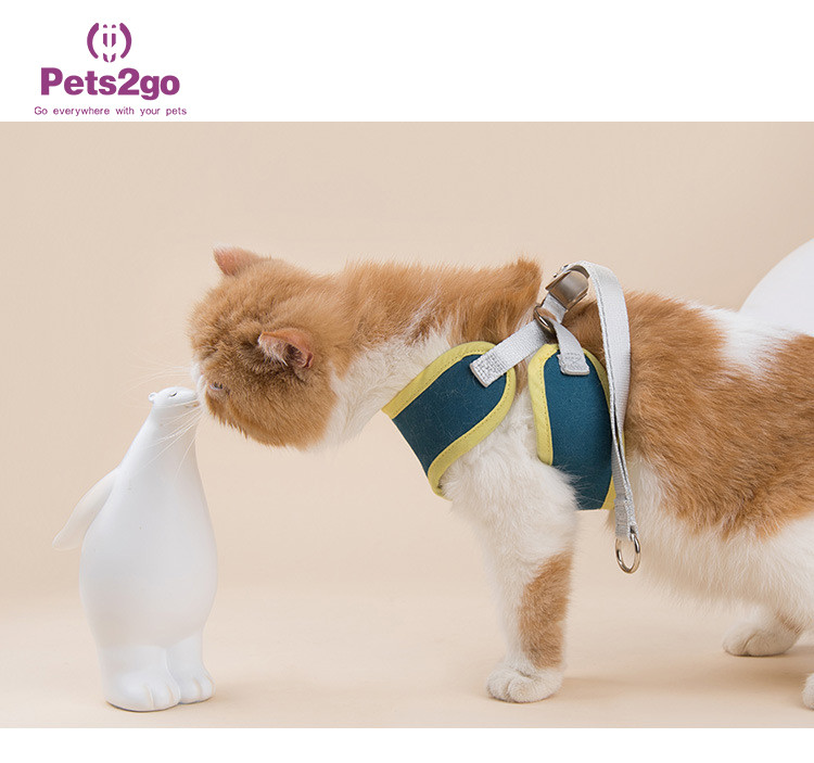 Adventure Cat Harness Best Dog Harness For Medium Dogs Cute Dog Harness And Leash