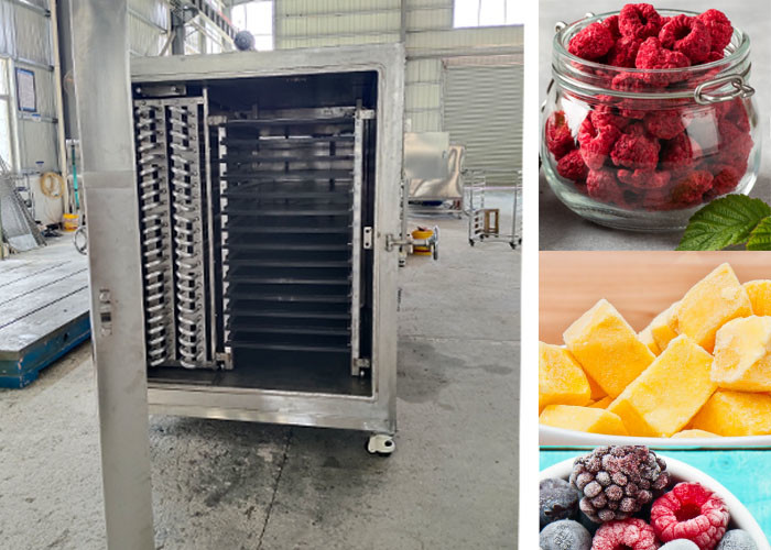 Vegetable Freeze Dryer The Perfect Choice For Drying Vegetables In Bulk