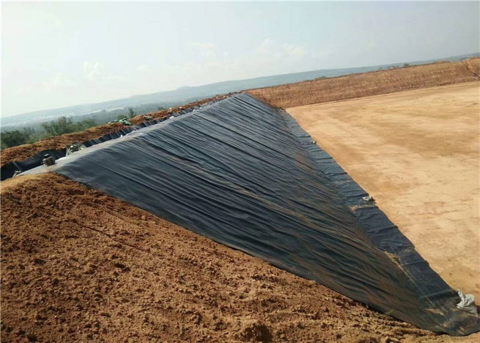 1mm Polyethylene Geomembrane