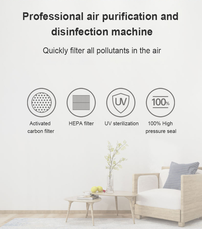 Household H11 H13 Portable Air Purifier for Negative Ion Ozone