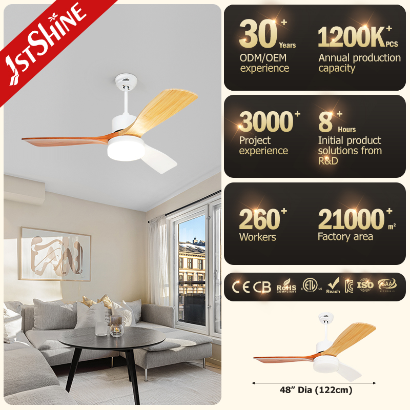ceiling fan