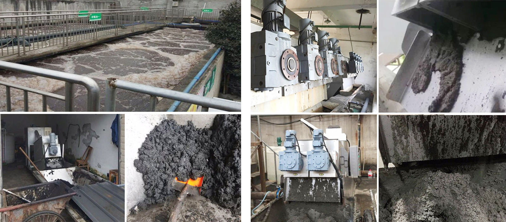 Field Maintenance and Repair Service Stainless Steel Screw Press Sludge Dewatering Machine