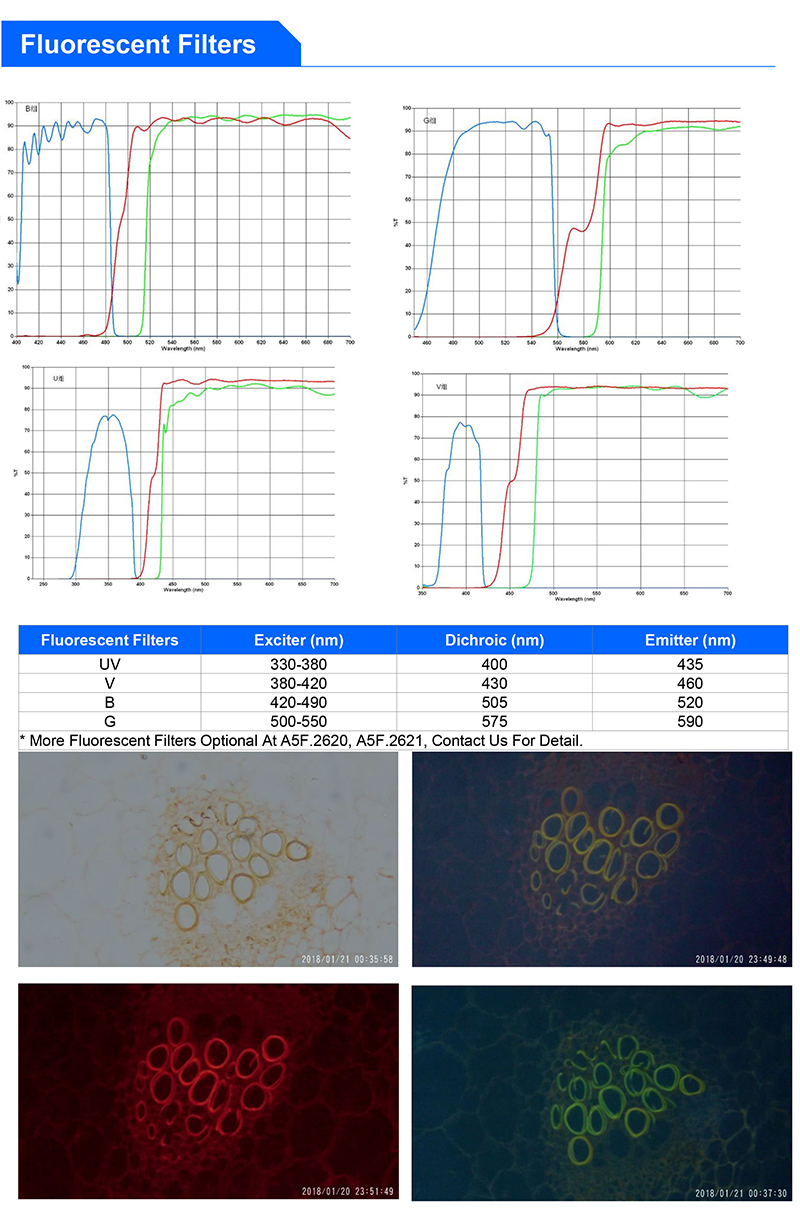 OPTO-EDU A16.2603-UL LED Fluorescent Light Microscopy 6V 30W Halogen Ultra LED Fluorescent Microscope