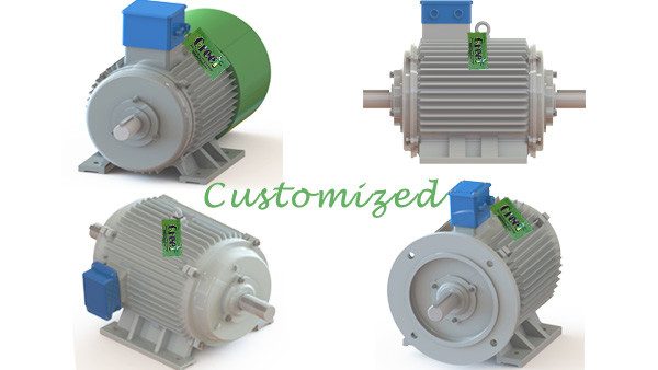 10KW Low Rpm AC Magnetic Power Generator SKF Bearing Long Working Life