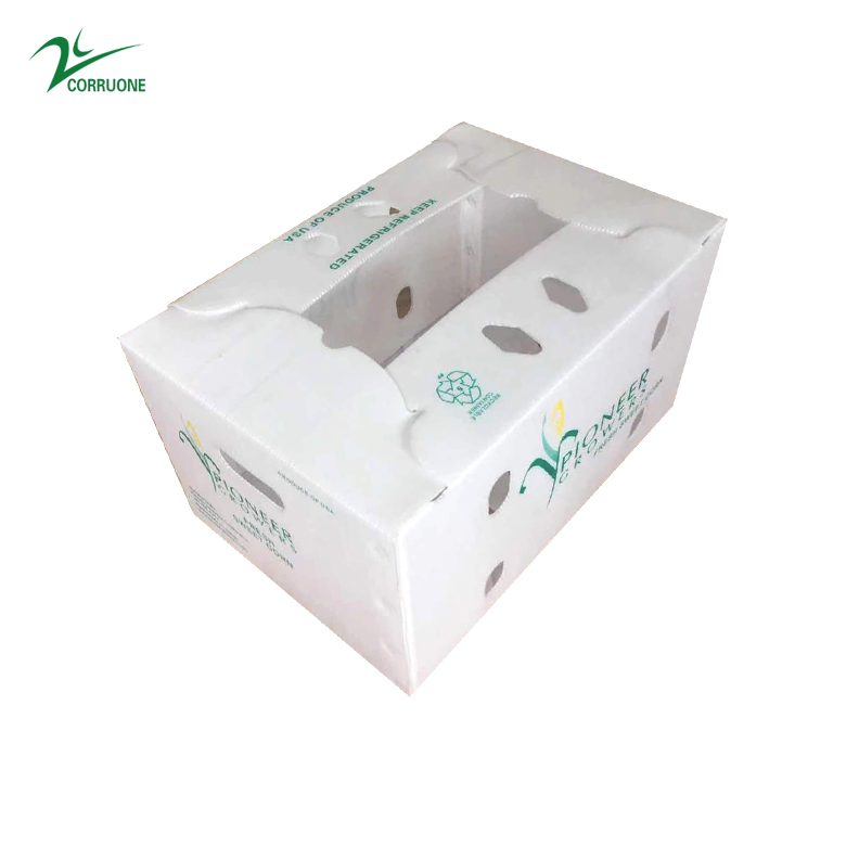 Sweet Corn Fruit Corrugated Boxes Banana Correx Packaging Boxes