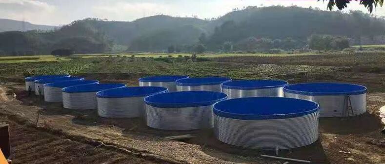 High Density Galvanized Sheet Tarpaulin Fish Tank 5M D 1.45M H