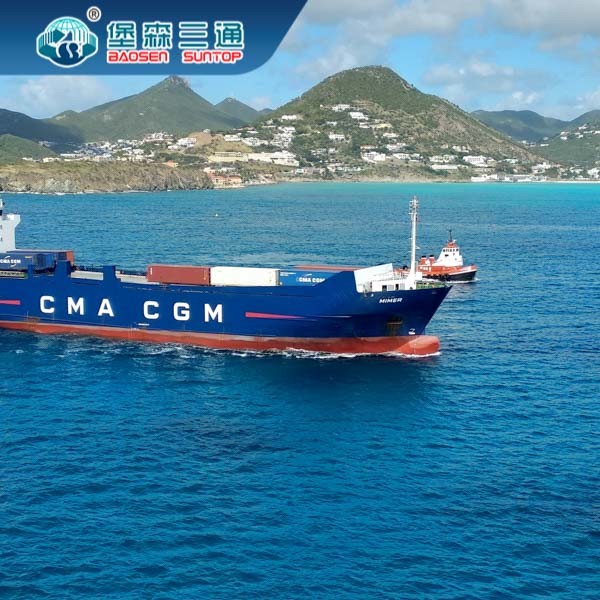 Door To Door DDP Sea Shipping , International Freight Shippers from China Shenzhen