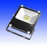 Buy cheap 30watt led floodlights |outdoor lighting| LED lighting fixtures from wholesalers