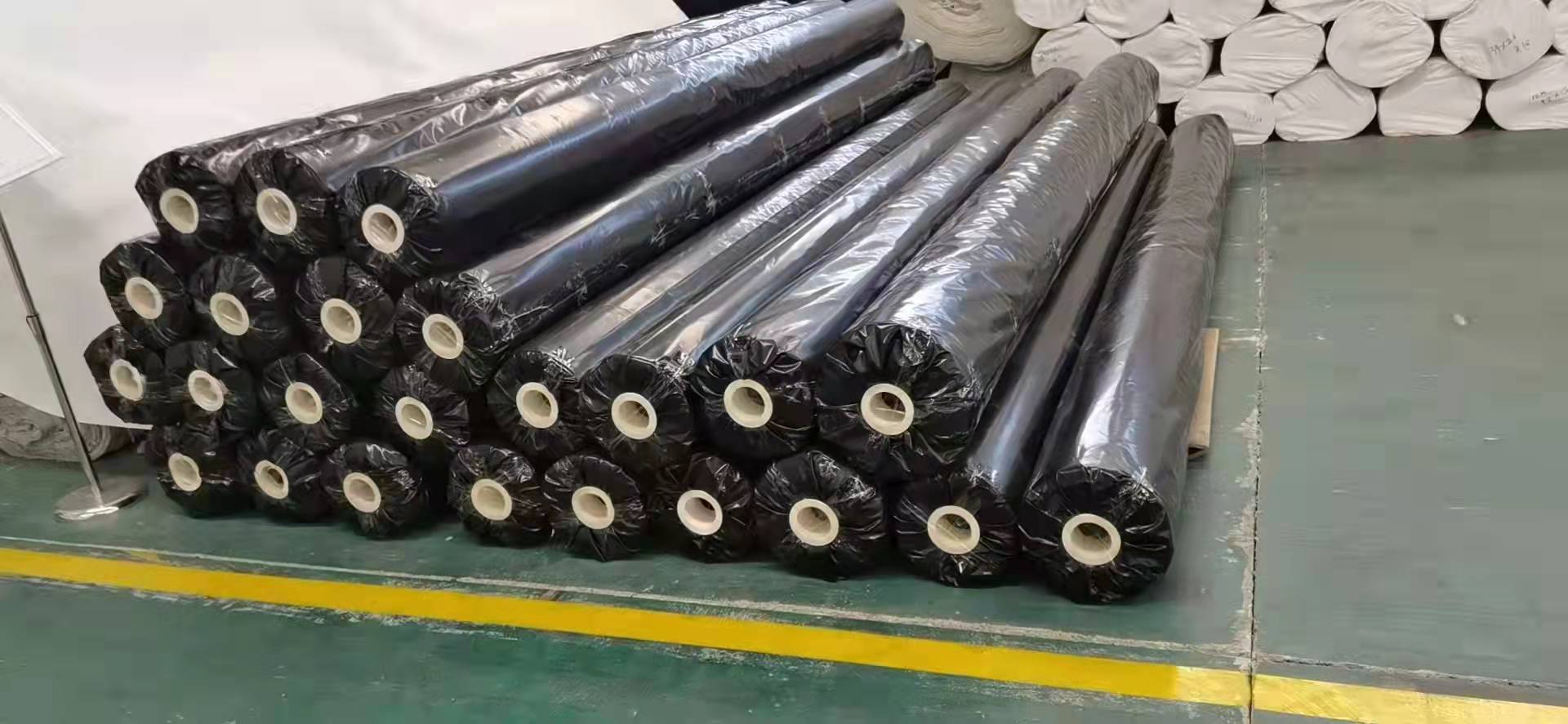 HDPE Black Fish Farm Pond Liner Plastic Geomembrane for Fish Pond Industrial Design Style