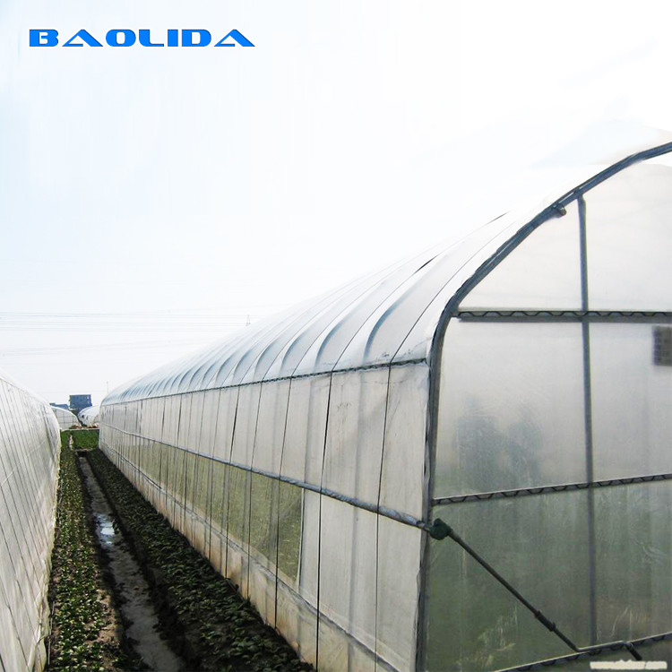 Agricultural PE Film Polyethylene Plastic Sheeting Greenhouse Commercial