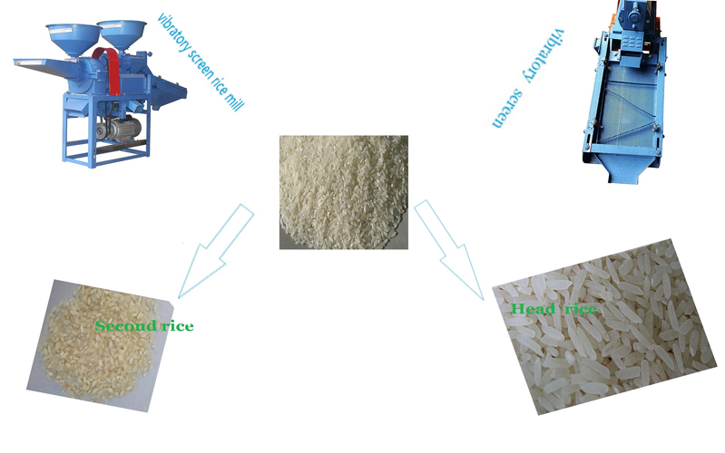 DONGYA AGRO SS HEAD Vibratory Screen Combined Rice Mill with Vibration Screen