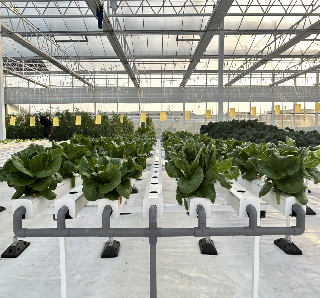 Food Grade PVC Pipe NFT Channel Hydroponic Greenhouse Eco Friendly