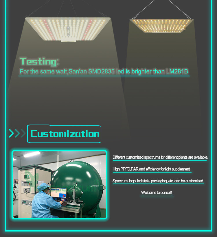 High Brightness Horticulture SMD Chip 5000K Circuitry Design Led Grow Light
