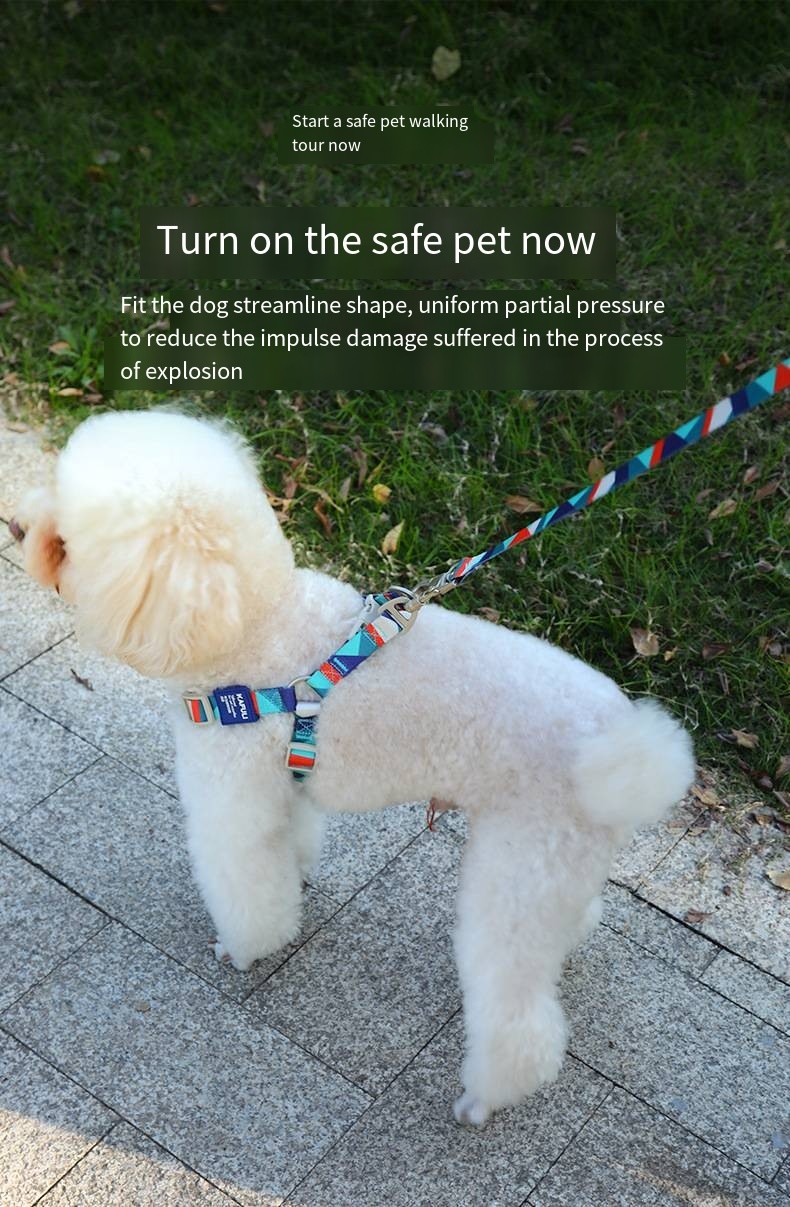 Pet Printed Harness Medium And Large Dogs Anti Breakaway Vest Style Leash