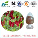 schisandra chinensis extract 9% schisandrins with CAS:7432-28-2 GMP manufacturer