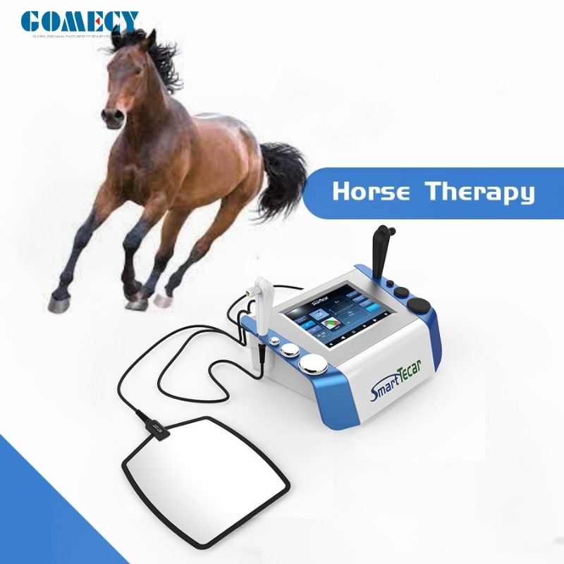 Portable High-Performance Radiofrequency Tecar Therapy for Horse Sports Injuries - Advanced Physiotherapy Treatment