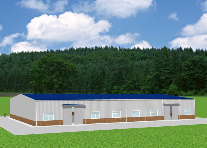 Prefabricated Steel Structure Workshop Industrial Frame Building Fireproof