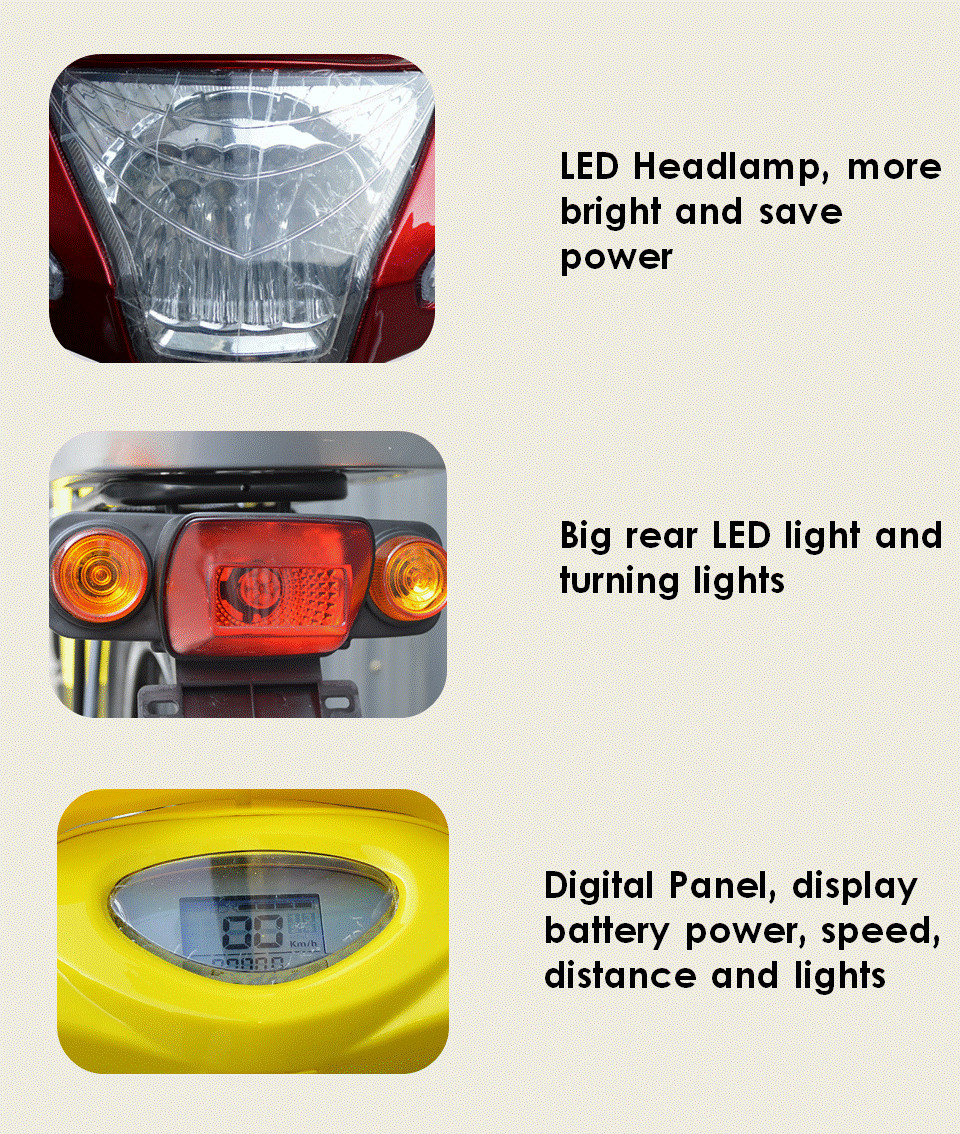 36V 350W Pedal Assist Electric Bike 24 Inch Wheel V Brake Rear Brushless Motor