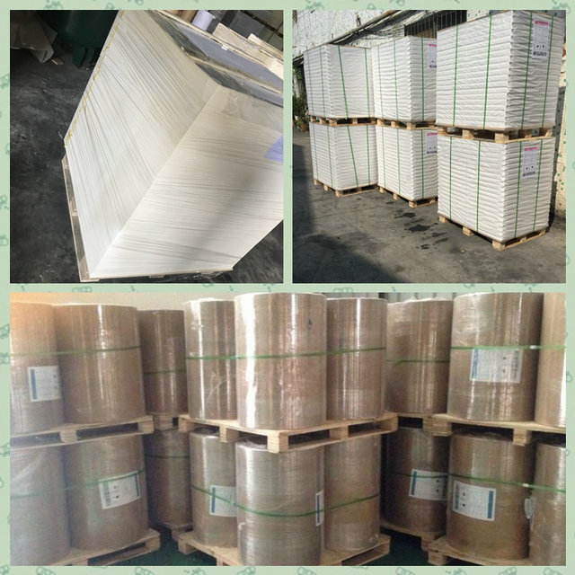 C2S Gloss Art Paper 300g 400g Two Side Coated Good Whiteness For Printing