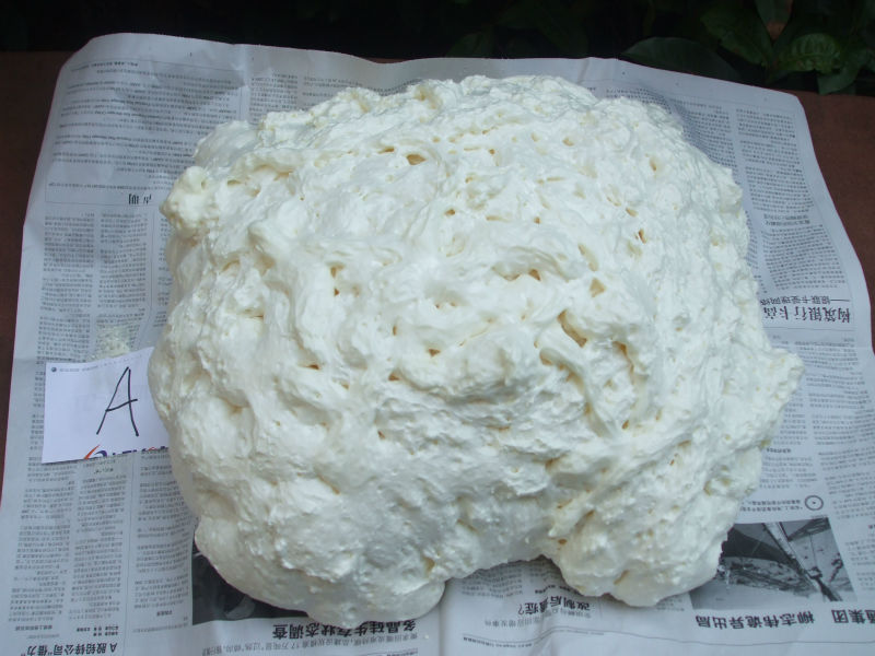 PLYFIT Wholesale PU Polyurethane Expanding Foam Spray