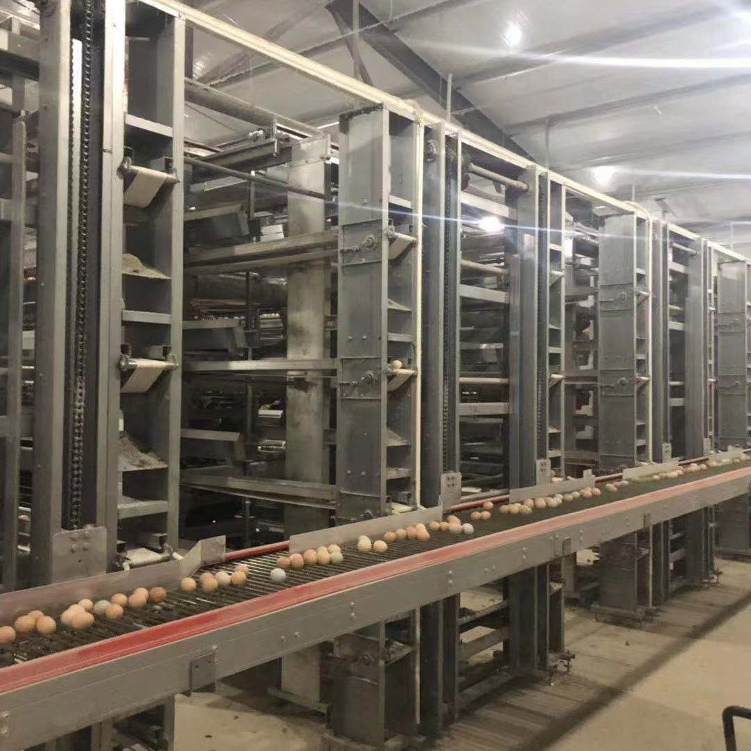120 * 60 * 70cm Poultry Chicken Cage Automatic Control Labor Saving Eco Friendly