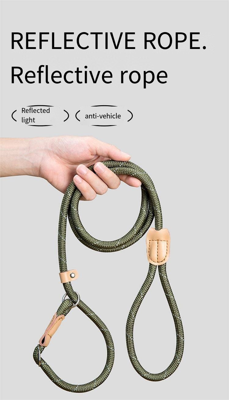 Mesh Dog Leash Training Dog P Chain Flush Adjustable Dog Leash