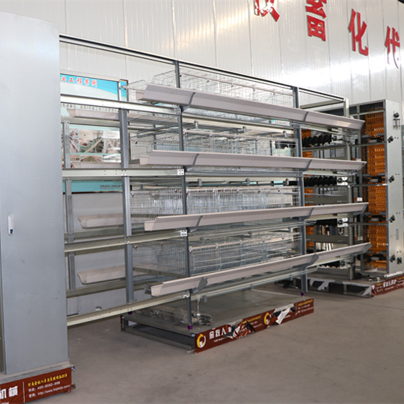 4Tiers 160Birds Uzbekistan Layer Chicken Poultry Cage South Africa Automatic Battery Cage
