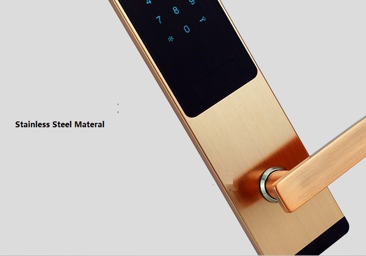 Home Apartment Electronic Password Digital Hotel Smart Lock