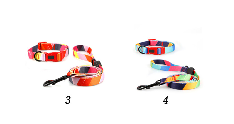 Wear Resistant Pet Collars Leashes S M L Adjustable 30cm Dog Collar