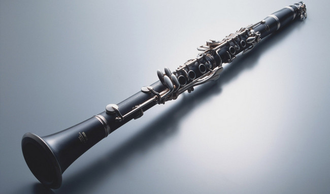 Good Selling 17 Keys Bb Clarinet Turkish G Clarinet Turkish Professional G Clarinet : Musical Instruments - Amazon