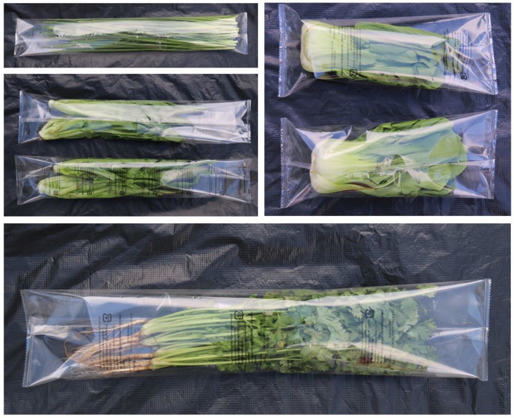 50HZ Pillow Eggplant Vegetable Packing Machine