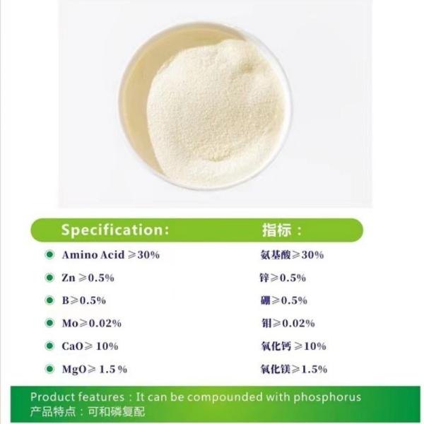 Zinc Calcium Magnesium Amino Acid Chelated Plant Organic Fertilizer For