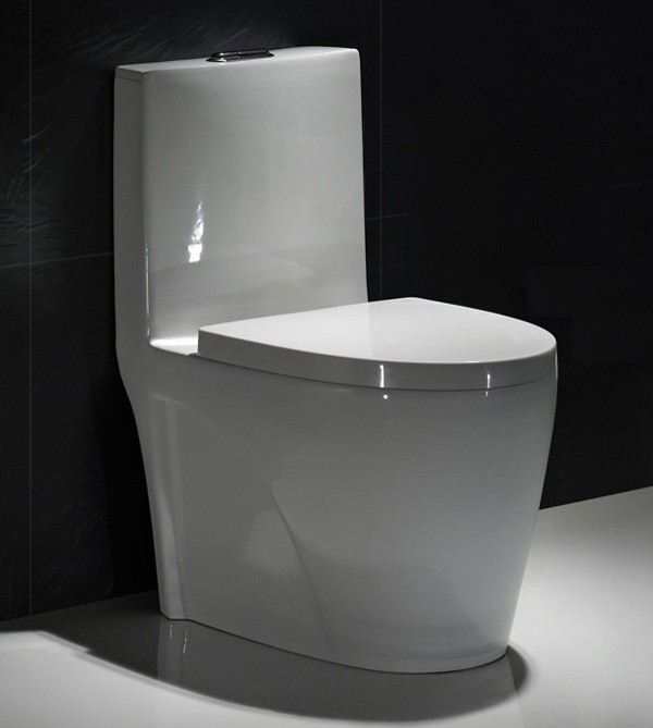 One Piece Round Toilet Dual Flush Single Piece Commode Flush Tank 12 Rough In