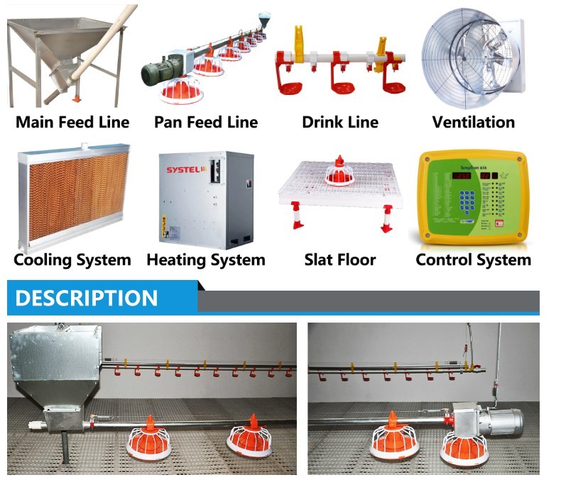 Broiler Poultry Feeding Equipment For Chicken House