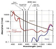 http://i00.i.aliimg.com/img/pb/758/978/479/479978758_941.jpg