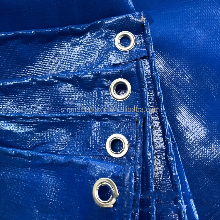 Waterproof Outdoor Plastic Cover in Blue Poly Tarp for HDPE Fabric and 500D Yarn Count