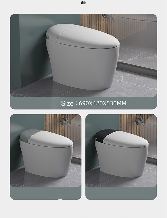 HOMIXE Bathroom Luxury Sensor Electric Automatic Flush Wc Bidet Ceramic Floor One Piece