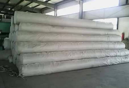 Direct Sold Black Geomembranes for Salt and Alkali Resistance in Construction Sites