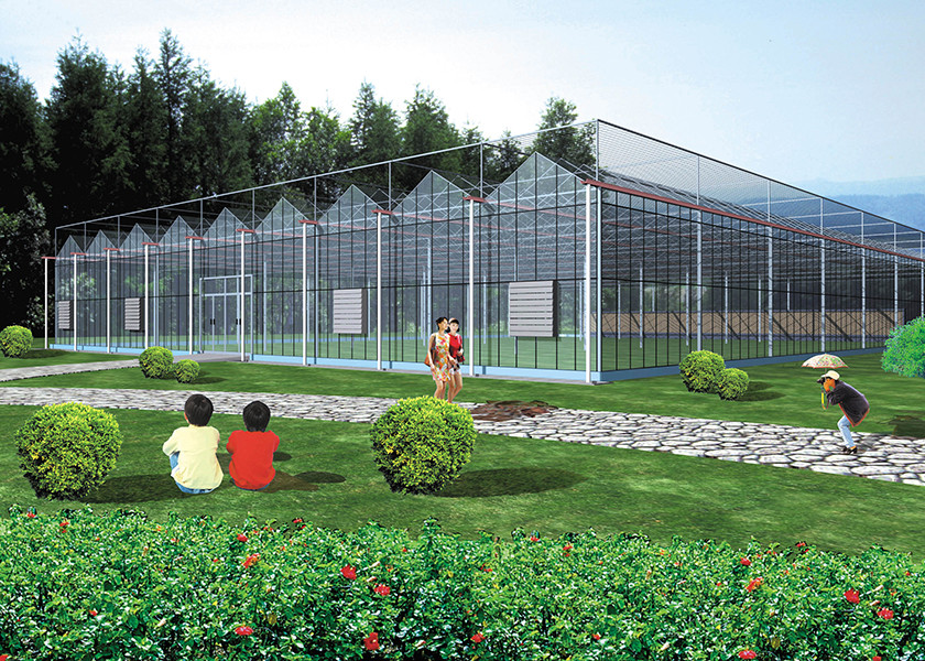 Sturdy Structure, Adjustable Climate VENLO Glass Greenhouses For Strawberry & Flower Cultivation